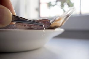 ¿Los parásitos mueren en los mariscos si se congelan?
